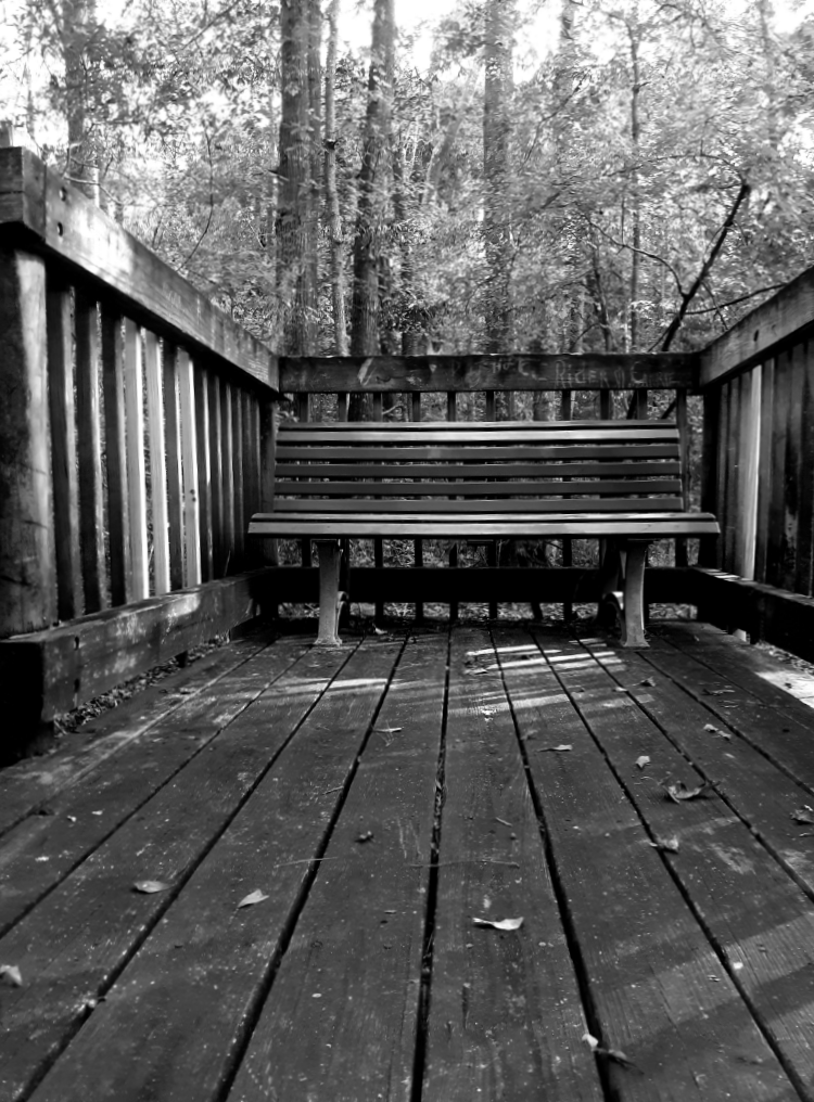 Black and white photo of a park bench on wooden boardwalk.